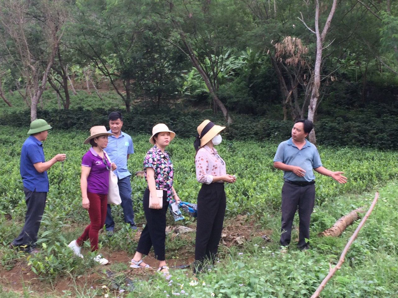 Product Info Image 5